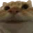 yes