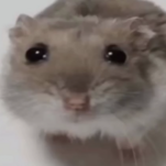 NeorikYT2