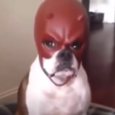 ccssblox