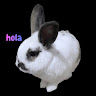 waos