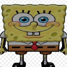 Freaky Bob