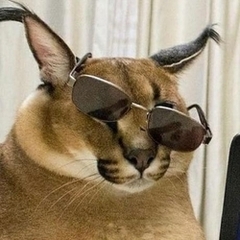 wasdff