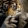 Mrbrook