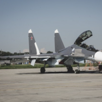 su30smflankerc