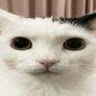 Exly
