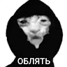Fleshak
