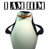 Skipper
