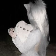 pusheenfan1