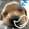 Tony Editor _