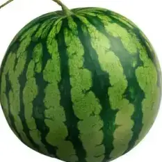 faaa5656