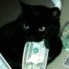 ykcash