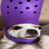 je e