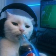 CatSoda