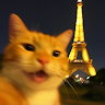 laserbendy