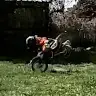 DreamRacer2