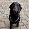 yukeeee