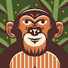 Monito Fd